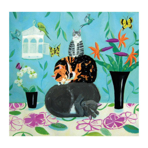 Cat Nap (card)
