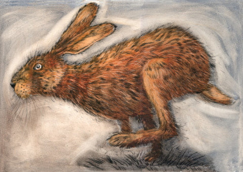 Running Hare 3/100