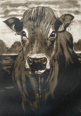 Cow 12/75, Framed Etching Print (CM05)