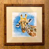 Giraffe. WATERCOLOUR painting (KT13)