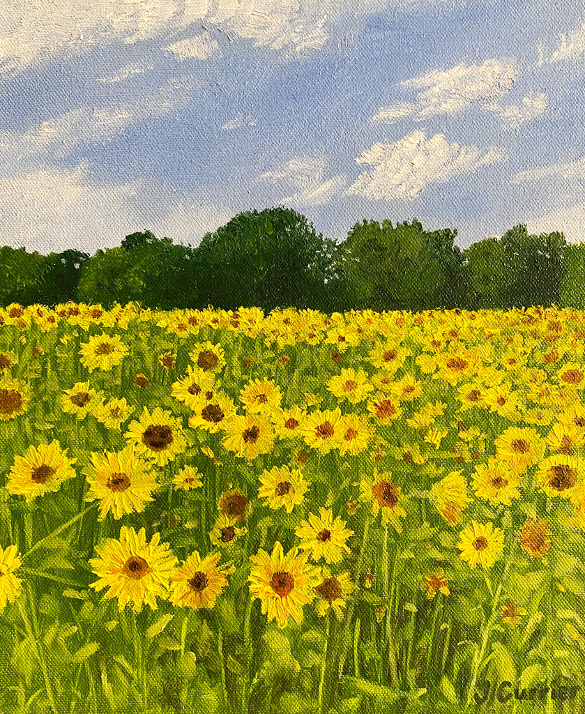 Sunflower Field I. Oil Painting (JC24)