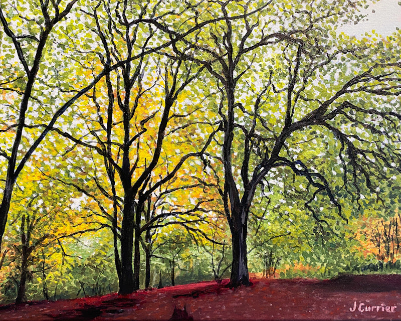 Autumn Wood. Oil Painting (JC23)