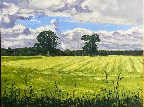 Ripening Field. Oil Painting (JC18)