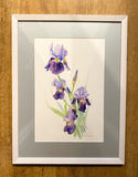 Irises. WATERCOLOUR painting (KT15)