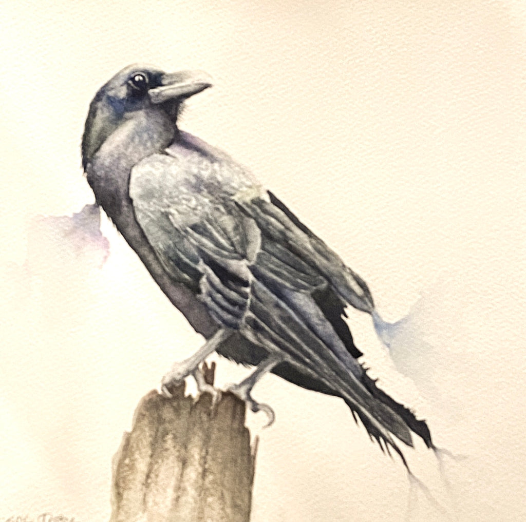 Raven, Watercolour on Paper (KT28)