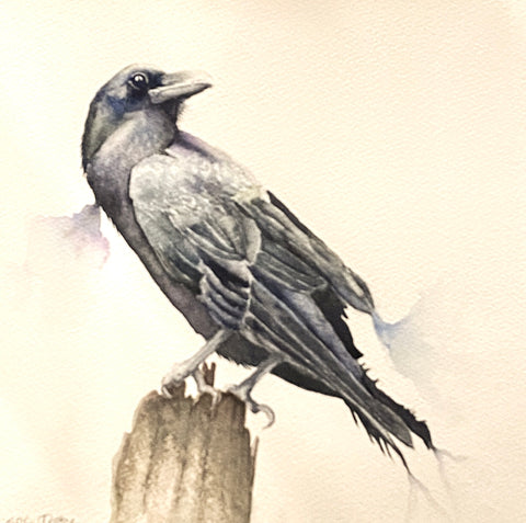 Raven, Watercolour on Paper (KT28)