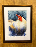 Curious Chicken. WATERCOLOUR painting (KT06)