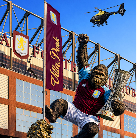 Villa Gorilla, Large Edition 2/150,Framed (RR52)