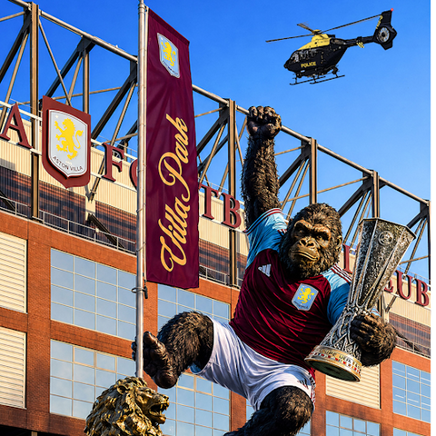 Villa Gorilla, Large Edition 2/150,Framed (RR52)