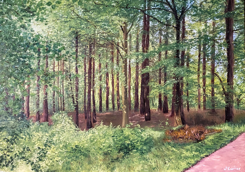 Summer Wood. Oil Painting (JC17)
