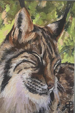 Well Groomed Lynx. Pastel Painting (BP04)