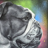 Bulldog, Acrylic Painting (MJ02)