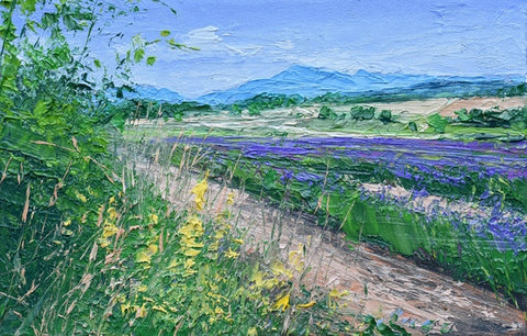 Lavender, Provence. Oil painting (CC77)