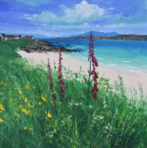 Foxgloves, Iona. Giclee Print 8/25 (CG50)