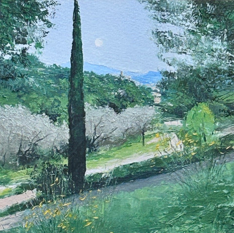 Cypress, Vinsobres 1/25. Giclee Print 1/25 (CG59)