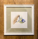 Blue Tit. WATERCOLOUR painting (KT11)