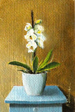 Delicate Petals. Oil Yute Canvas, Framed (MS43)