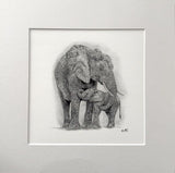 Mother & Child Elephant. Print from Graphite Pencil original (MJ06)