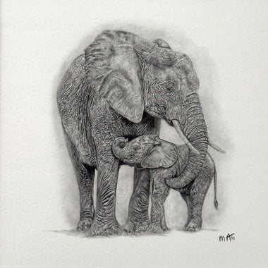 Mother & Child Elephant. Print from Graphite Pencil original (MJ06)
