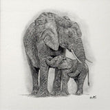 Mother & Child Elephant. Print from Graphite Pencil original (MJ06)