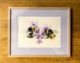 Bees with Lavender. WATERCOLOUR painting (KT14)