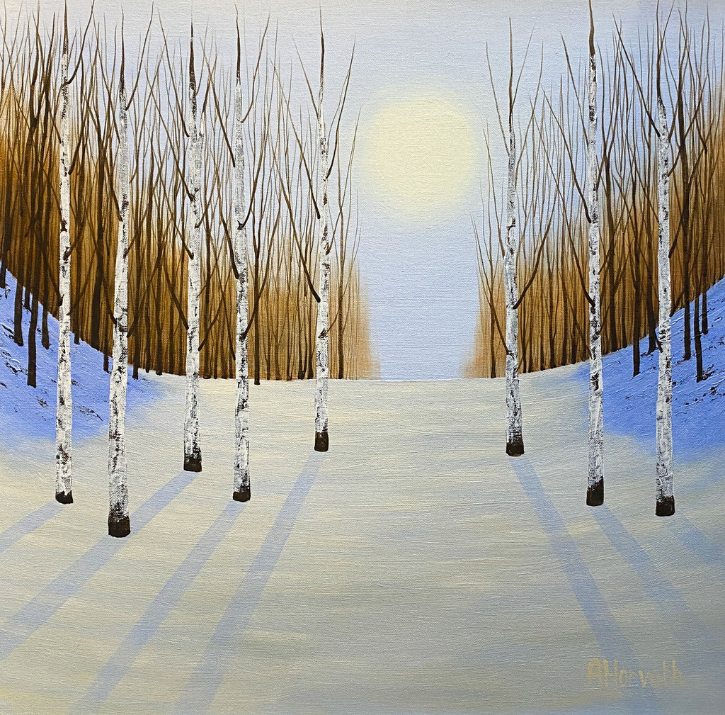 Winter Woodland Birches. Framed Acrylic (AM19)