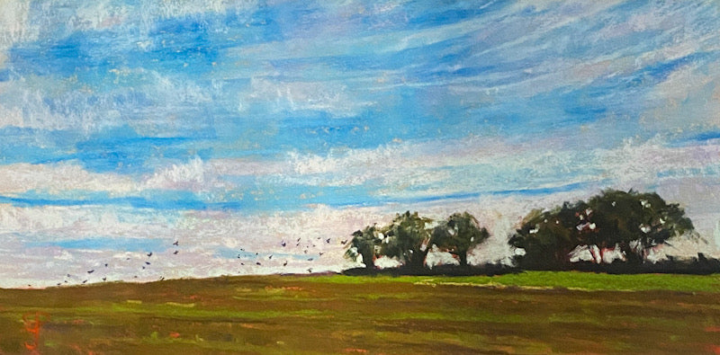 Big Sky, Small Birds, Pastel Painting (BP29)