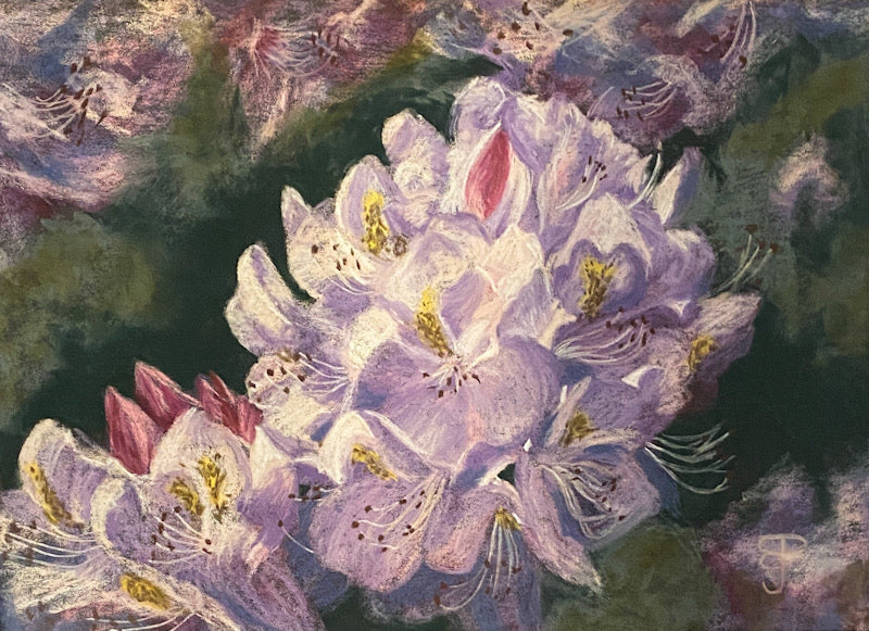 Rhododendron Delight, Pastel Painting (BP33)