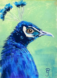 Proud Peacock, Pastel, Framed. (BP42)