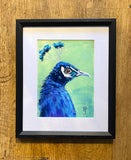 Proud Peacock, Pastel, Framed. (BP42)