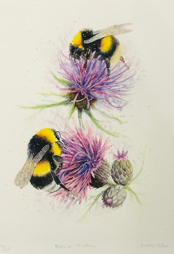 Bees on Thistles. Giclee Print (KT20)