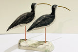 Two Curlews on Wood. Woodcarving (SH04)