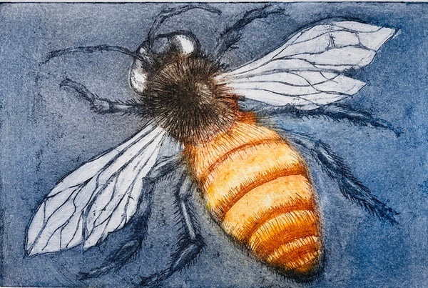 Bee, Etching Print (CM01)