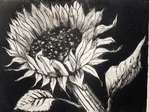 Sunflower 3/12, Etching Print (CM09)