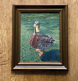 Lady Mallard . Oil Painting (JC08)