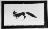 Beautiful Fox. Etching Print 19/150 (AR62)