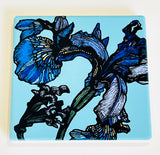 Blue Iris Coaster (RMC)
