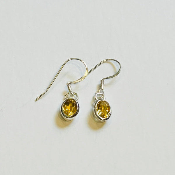 Petite Oval Citrine Hook Earrings (PGE)