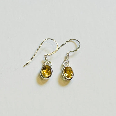 Petite Oval Citrine Hook Earrings (PGE)