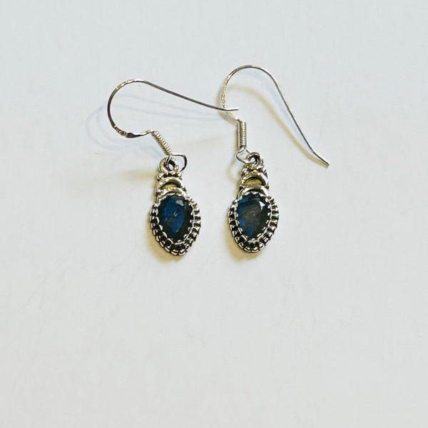 Lapis Lazuli Hook Earrings (PGE)