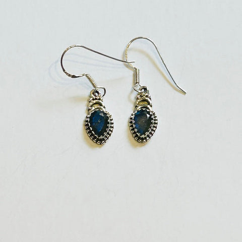 Lapis Lazuli Hook Earrings (PGE)