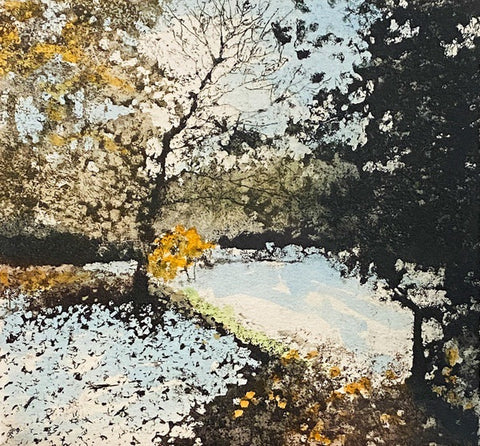 Melting Snow. Etching Print 3/150 (JB30)