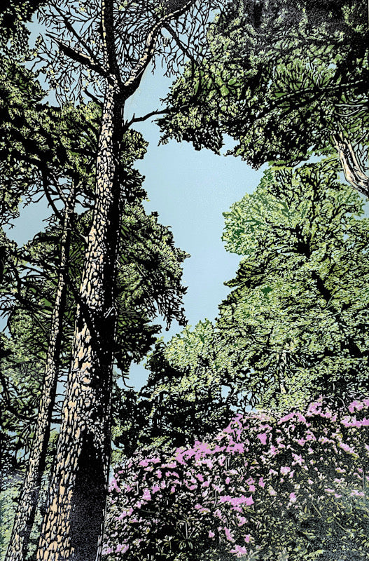 rhododendron wood Rhododendron Wood a/p. Reduction Linoprint (JJ10) – Purple Gallery