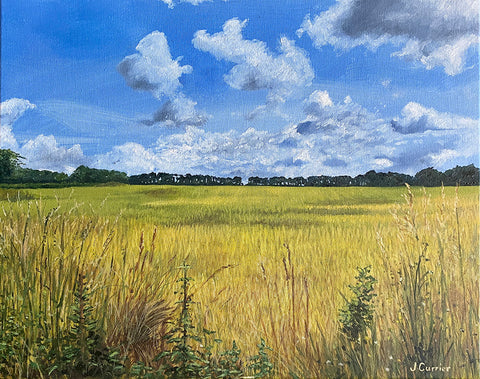 Ripening Barley. Oil Painting (JC05)