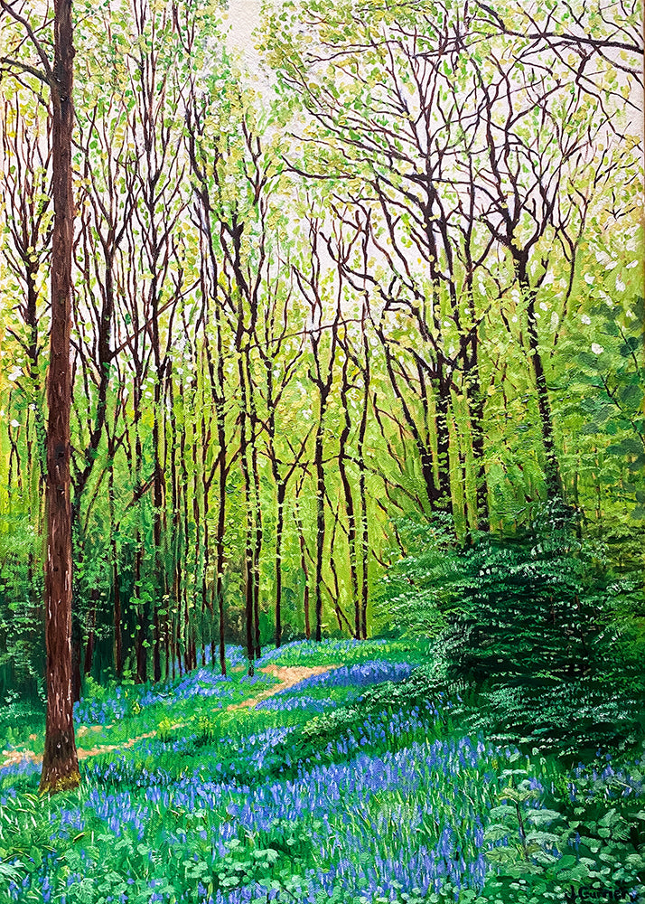 Bluebell Wood. Oil Painting (JC20) – Purple Gallery