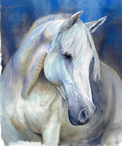 Midnight Mare. Watercolour. (KT02)