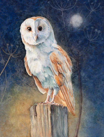 Night Owl. Watercolour. (KT01)