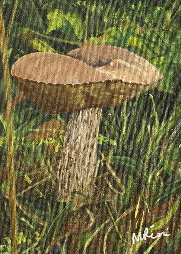 Birch Bolete Mushroom. Acrylic (MA04)