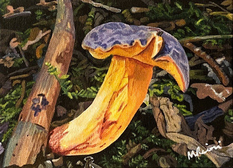 Bay Bolete Mushroom. Acrylic (MA05)
