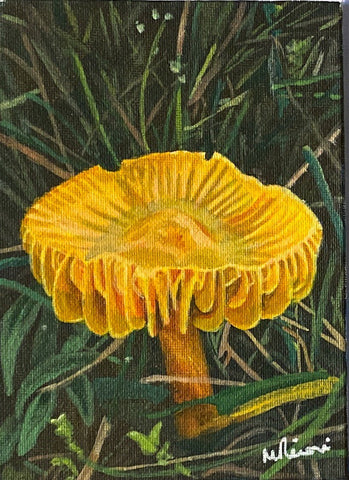 Golden Waxcap Mushroom. Acrylic (MA06)
